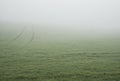 Morning heavy fog in the fall in field