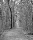 A morning hike on a lonely trail Royalty Free Stock Photo