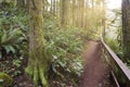 Morning Hike at McDowell Creek Falls Park