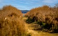 Early morning hike on the prairie Royalty Free Stock Photo