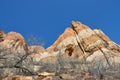 Hiking calf creek falls in escalante utah