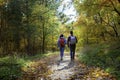 morning hikers walk autumn path hiking walking nature trail park hike exercise Royalty Free Stock Photo