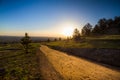 Morning hiking trail boulder colorado