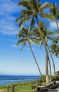 Kaanapali Lounging