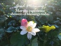 Morning inspirational quote - Good Morning. May your experience showers of blessings everyday. With white pink lotus flowers