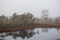 Morning in the Kemeri National Park Royalty Free Stock Photo