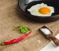 Morning in the kitchen. Cooking breakfast. Fried egg. Royalty Free Stock Photo