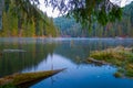 Morning on Lacu Rosu, Romania Royalty Free Stock Photo