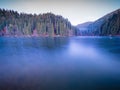 Morning on Lacul Rosu or Red Lake or Killer Lake located in Harghita County, Romania Royalty Free Stock Photo