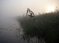Morning lake in fog