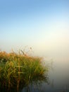 Morning lake and fog