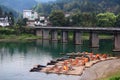 Floating bamboo rafts