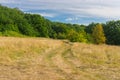 Morning landsacpe with country road Royalty Free Stock Photo