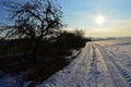 Morning landscape abowe snow covered winter field and field road, naked apple tree with apples in tree lane on the left.