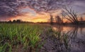 Morning landscape against background of bright colorful dawn on river of wild nature Royalty Free Stock Photo