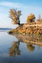 Autumn coast with the old willow bent over the water