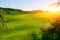 Morning landscape with green field, traces of tractor in sun ray Royalty Free Stock Photo