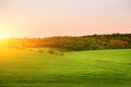 Morning landscape with green field, traces of tractor in sun ray Royalty Free Stock Photo