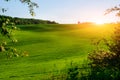 Morning landscape with green field, traces of tractor in sun ray Royalty Free Stock Photo
