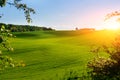 Morning landscape with green field, traces of tractor in sun ray Royalty Free Stock Photo