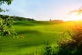 Morning landscape with green field, traces of tractor in sun rays Royalty Free Stock Photo