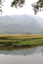 Morning landscape in Mai Chau Royalty Free Stock Photo