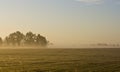 morning landscape of missouri farm field Royalty Free Stock Photo
