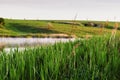 Morning landscape with misty lake and bird on grass