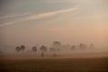 Landscape at an early hour of the day