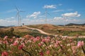 Morning landscape turbine on flower and mountain