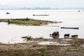 Morning landscape in the Vietnamese province of daklak.