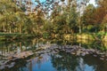 Morning landscapes with trees, cherry blossoms and pond in Quyuan Garden, a public park of West Lake in Hangzhou, China Royalty Free Stock Photo