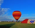 Morning launch of multiple hot-air balloons.