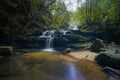 Morning at Leura Cascades, Blue Mountains National Park Royalty Free Stock Photo