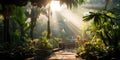 Morning light in beautiful jungle garden