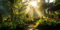 Morning light in beautiful jungle garden