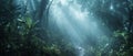 Morning light cascades into a forest glade, highlighting a dreamy path and the vibrant, mist-laden air among the trees. Royalty Free Stock Photo