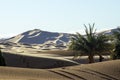 Morning light on Erg Chebbi, Merzouga, Morocco