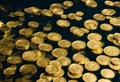 Ancient gold coin reflecting history and cultural heritage.AI Generated Royalty Free Stock Photo