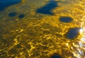 Sunlight creates golden, swirling ripple patterns on dark water. AI Generated Royalty Free Stock Photo