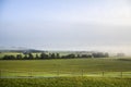 Morning light and ground fog over the grassland at late September in Bavaria, southern Germany Royalty Free Stock Photo