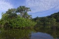 Morning light, Itapicuru lagoon, Para state, Brazil