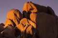 Morning Light Over Jumbo Rocks in Joshua Tree