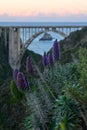 Morning Light Over Purple Flowers and Bixby Bridge Royalty Free Stock Photo