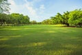 Morning light in public park and green grass garden field ,tree Royalty Free Stock Photo