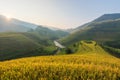 Morning light from rice on terrace at Vietnam Landscape