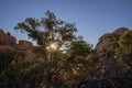 Morning light through a rock formation in the Mojave desert