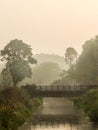 Morning light Swiping the mist away