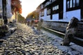 Morning light in Zhou Zhuang Royalty Free Stock Photo