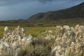 Early morning slowly lights up the South Tufa area of Mono Lake. Royalty Free Stock Photo